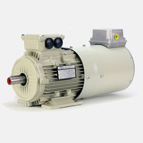 Inverter rated variable speed Vector AC Motor